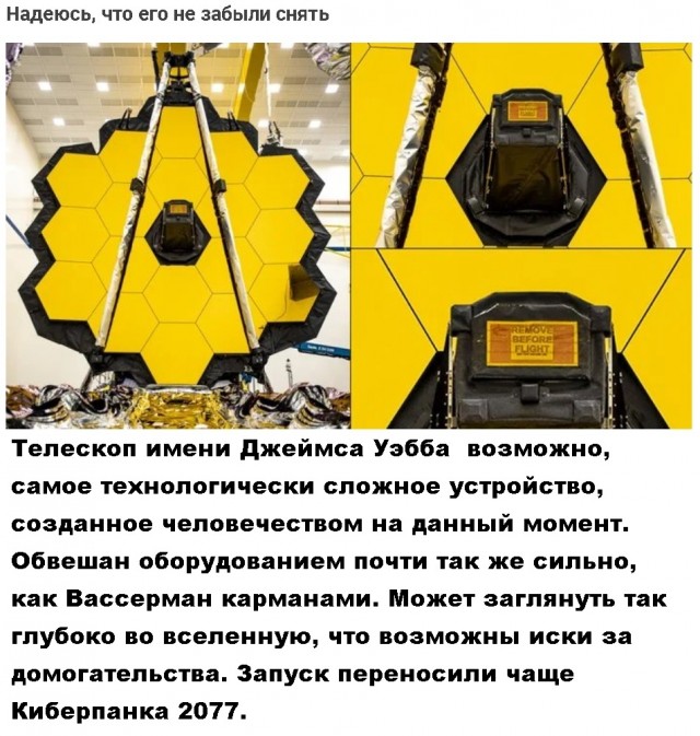 Всяческие картинки 17.01.2022