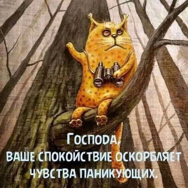 Пандемия. Коронавирус. Россия и мир. Часть 29