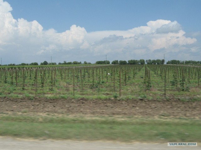 Пенза-Витязево-Пенза