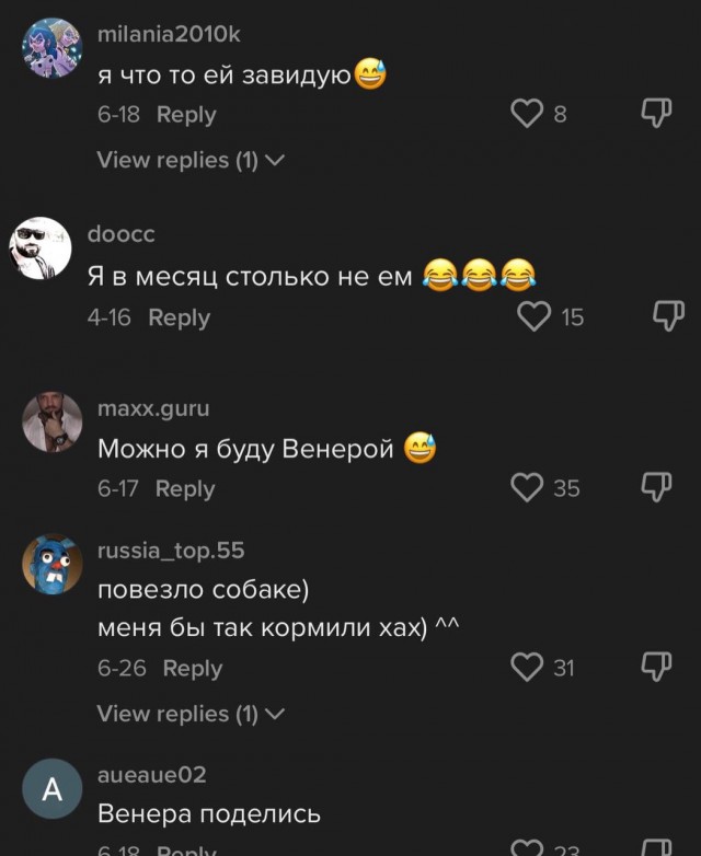 Хозяйка добермана показала обычный рацион своей собаки