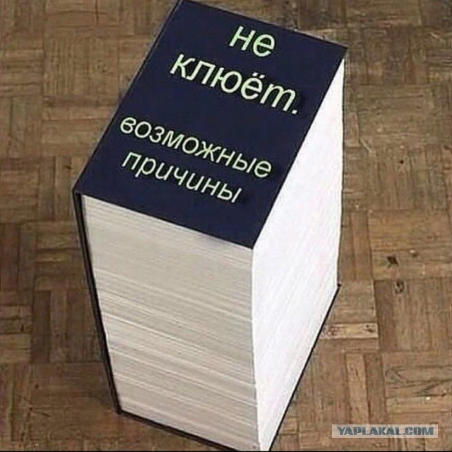 Друг поймал вчера