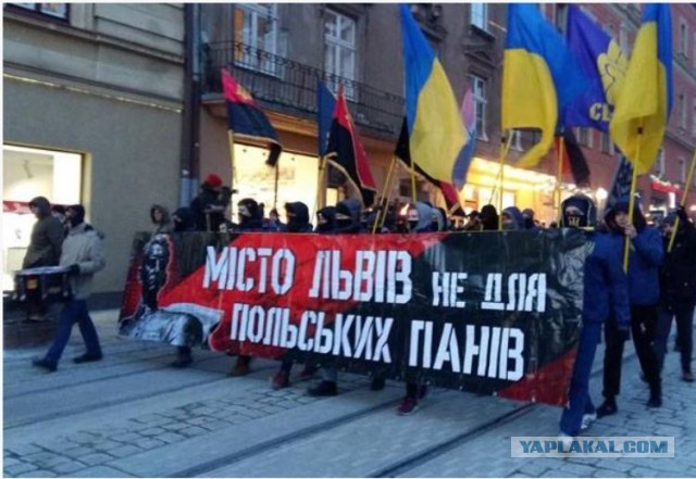 Призыв польских блогеров