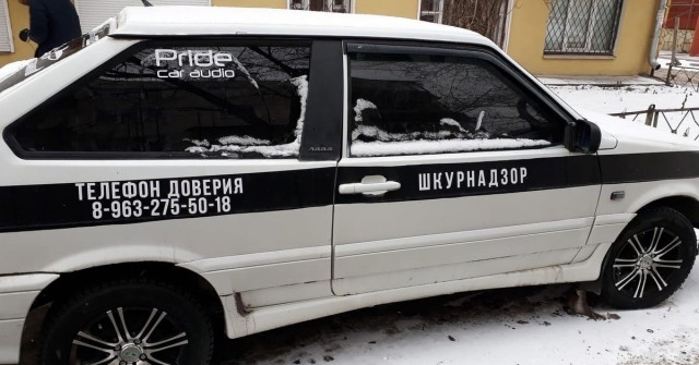Так себе картинки 08.10.22