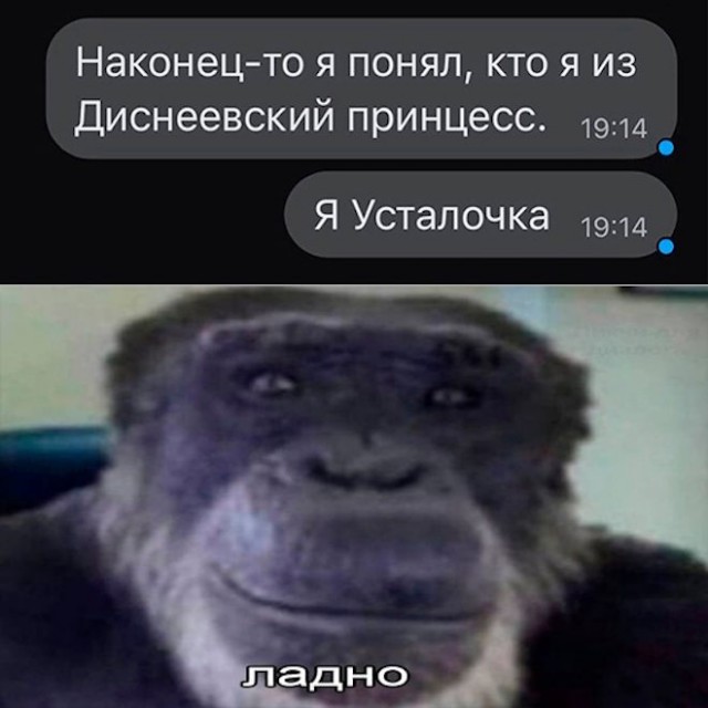 Картинки и мемы для настроения - 119