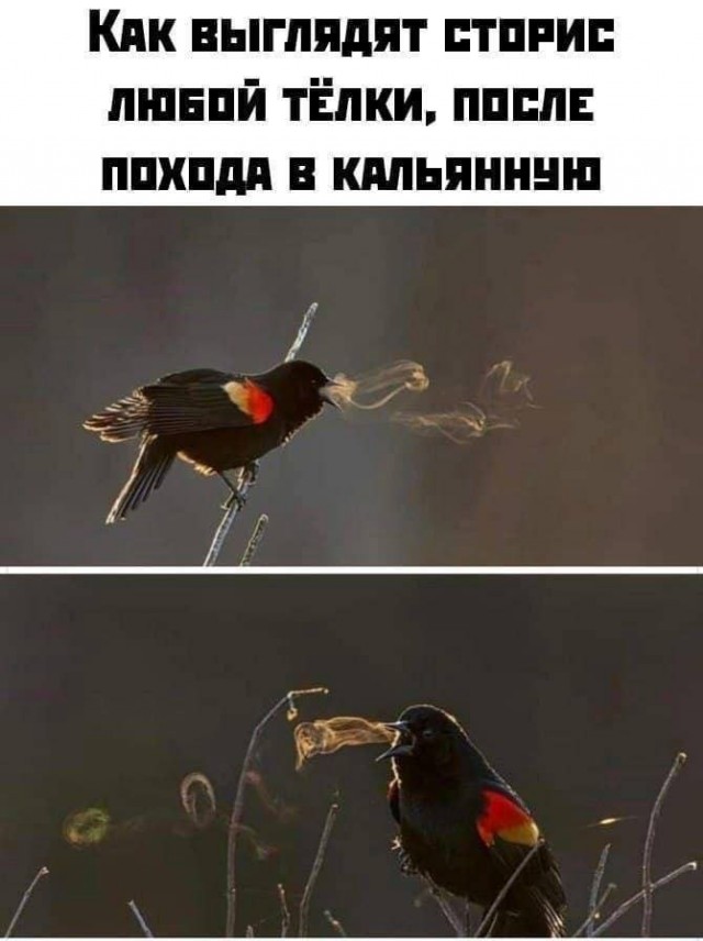 Народная меДИЧина 9007