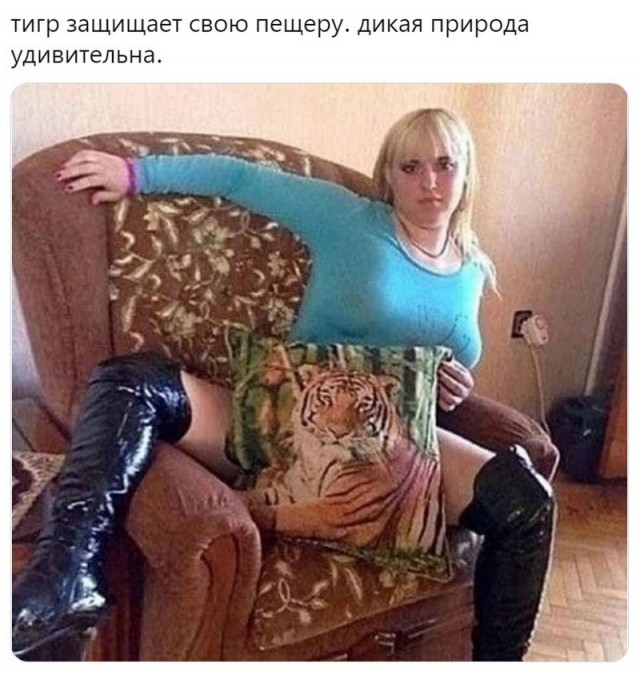 Картинки и мемы для настроения - 119