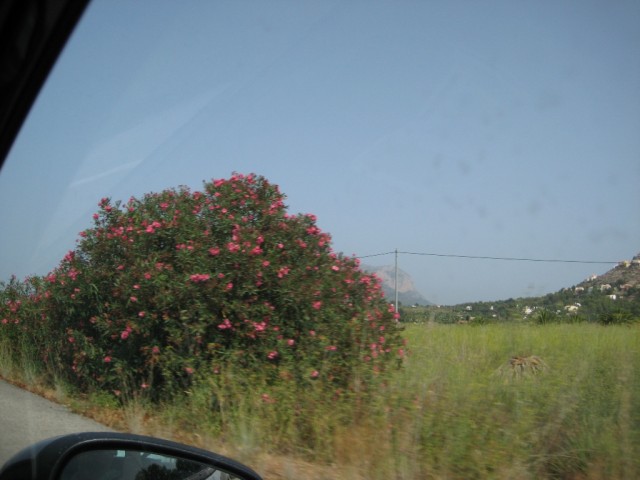 Испания - чудесная страна!