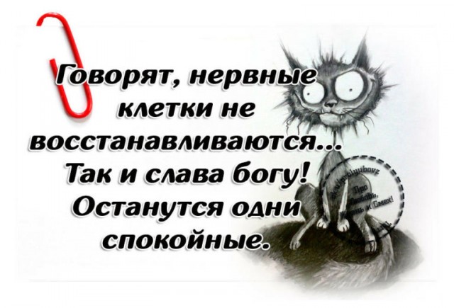 Сборник Боянов №2