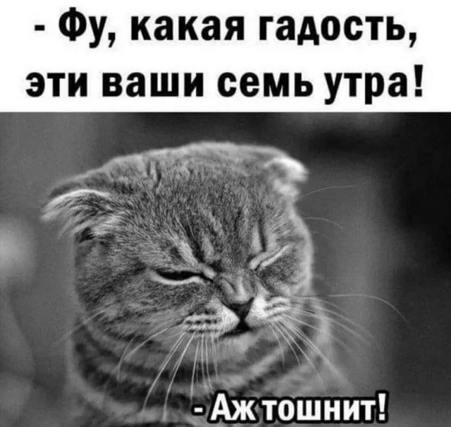 Очередная сборка картинок! Кому баян, кому гармонь, а кому в новинку!