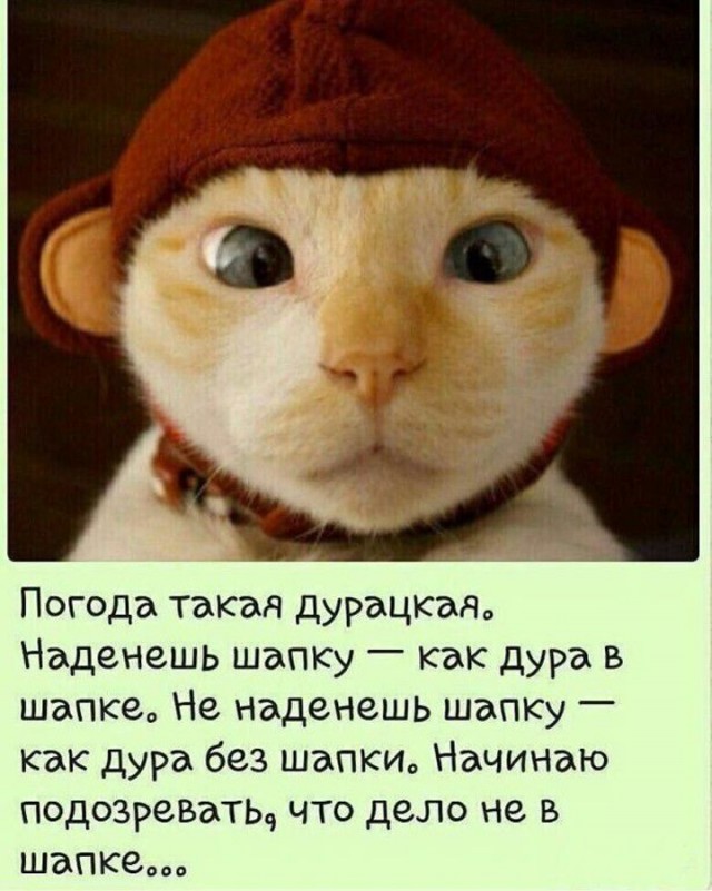 Картинки и мемы, всяко - 169