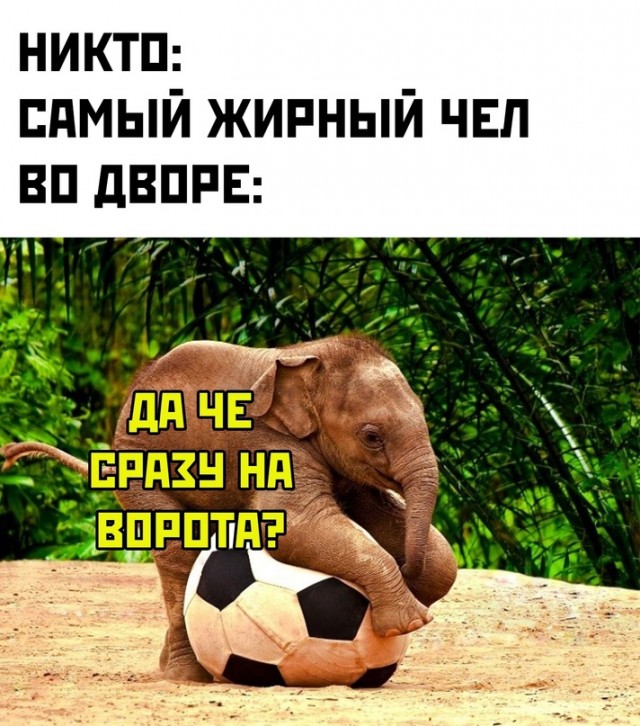 Немного картинок для настроения - 177