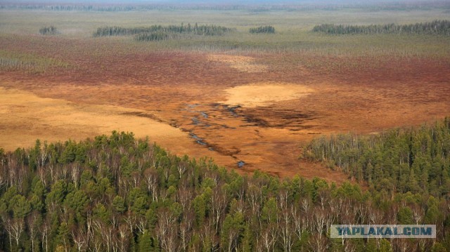 Сибирские перекрёстки