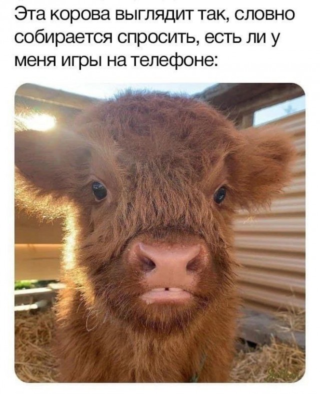Неадекватность