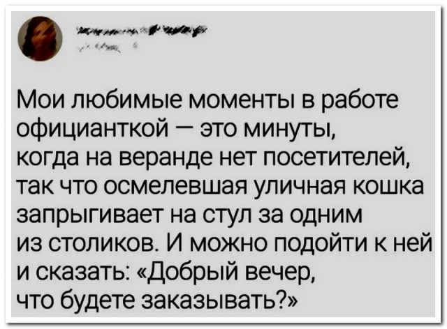 Забавные комментарии из социальных сетей (11.09.23)