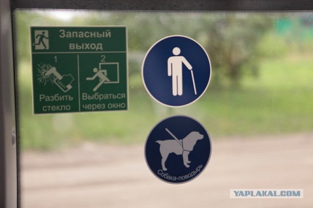 В автобусе увидел настоящего ЯПовца