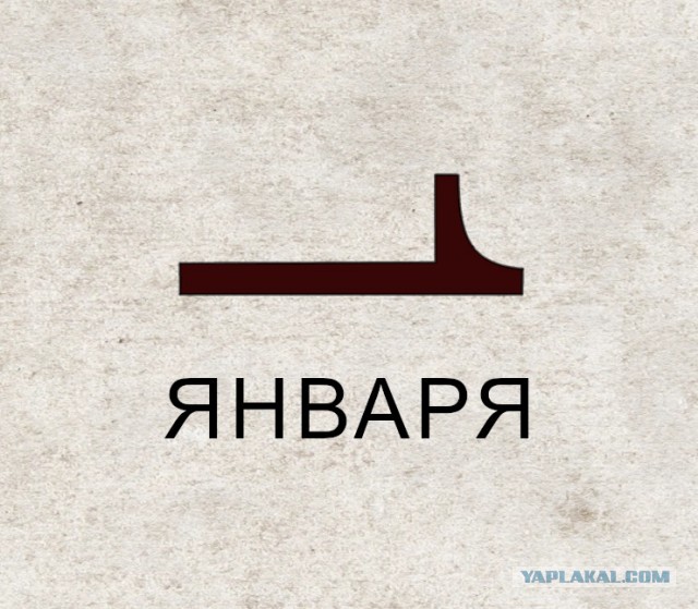 Немного котов из Минска