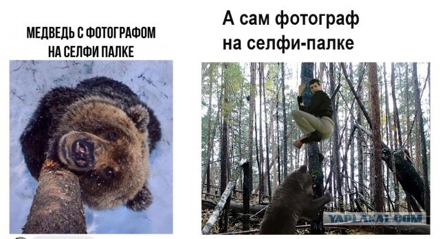 Тлидцать тли от 29 февлаля