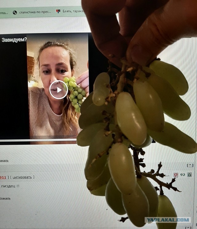 Завидуем?