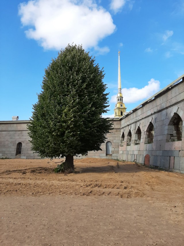 Санкт-Петербург 24.03.2024