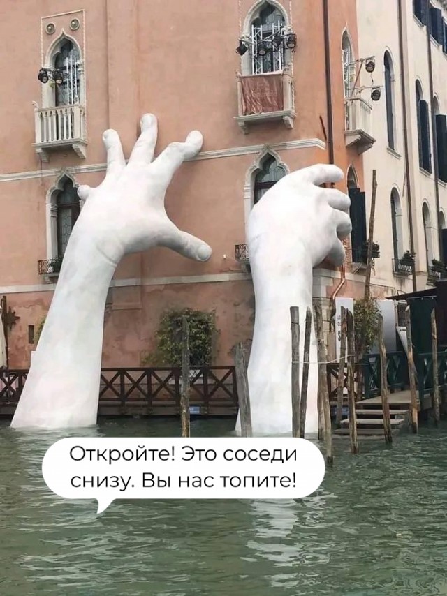 Прикольные Цитаты С Картинками