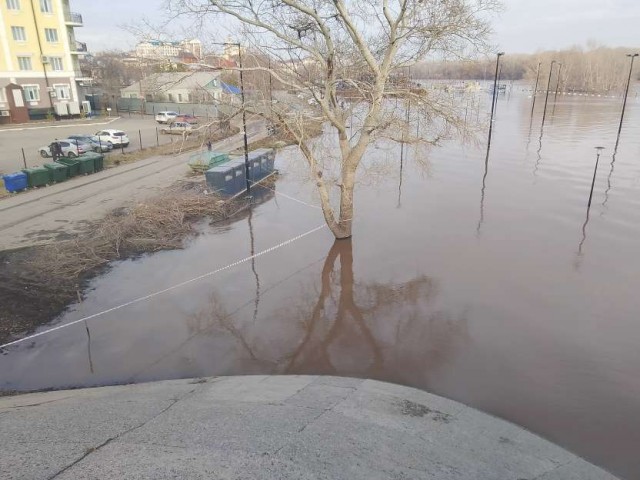 В Оренбурге уровень воды в реке Урал вырос до 872 сантиметров