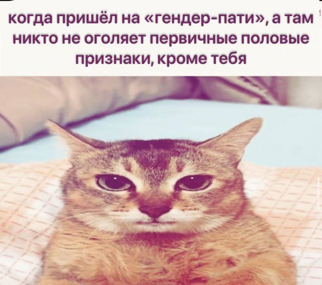 Всего понемногу. От 12.05.2024