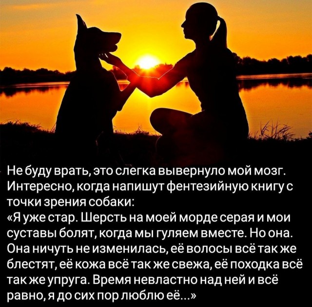 Никакие картинки и такие же тексты