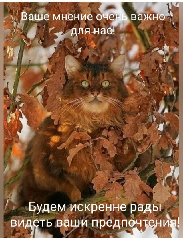 Пятничная солянка