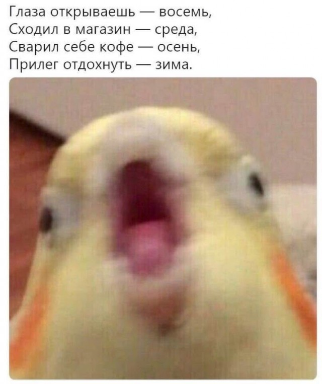 Завалялось тут случайно немного забавных картинок