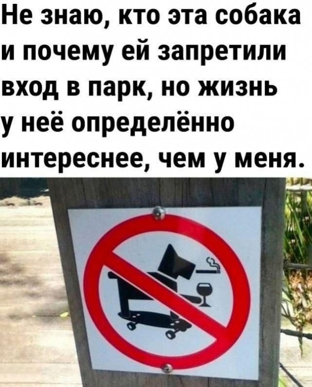 Так себе картинки 25.02.25