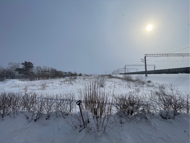 Рекордное потепление начнётся в Москве: К выходным воздух прогреется до +14 градусов