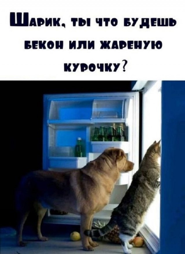 Так себе картинки 08.03.25