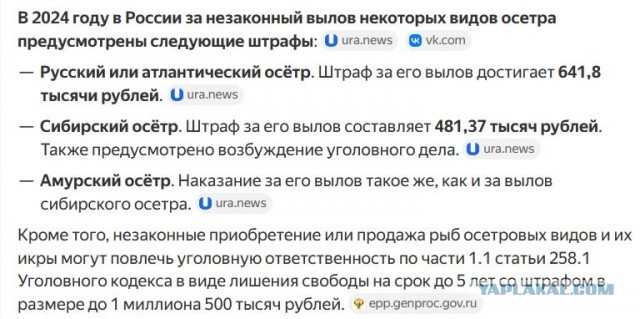 Удивительная рыбалка случилась на реке Омь