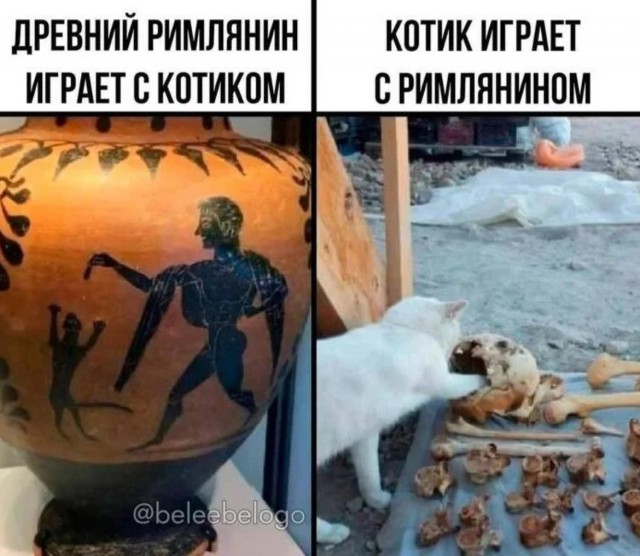 Завалялось тут случайно немного забавных картинок