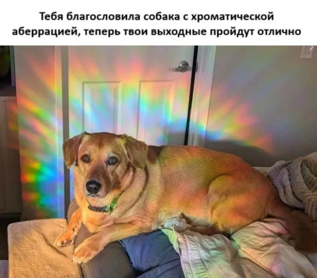Интернет мемы на утро субботы