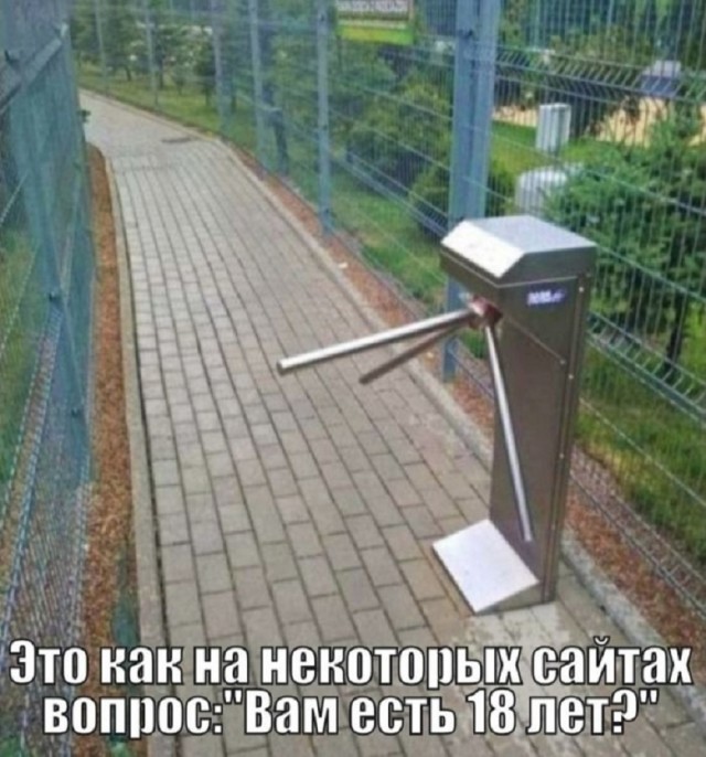 Так себе картинки 11.07.25