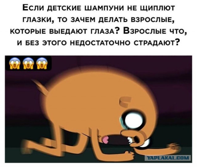 Картинки для деградации 43 (разной степени свежести)