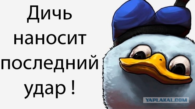 Сценарий для фильма катострофы с Курициным