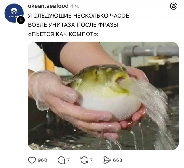 Сеть рыбных рынков из Киргизии заспойлерила ваш грядущий новогодний корпоратив