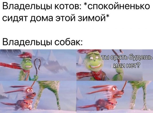 Картинки для деградации 131 (разной степени свежести)