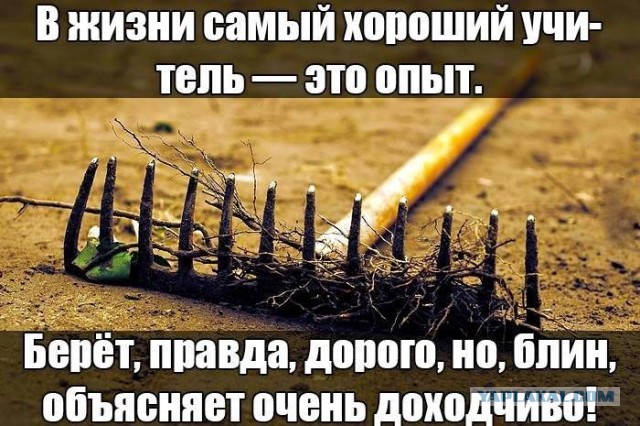 Урок лучше усваивается на практике