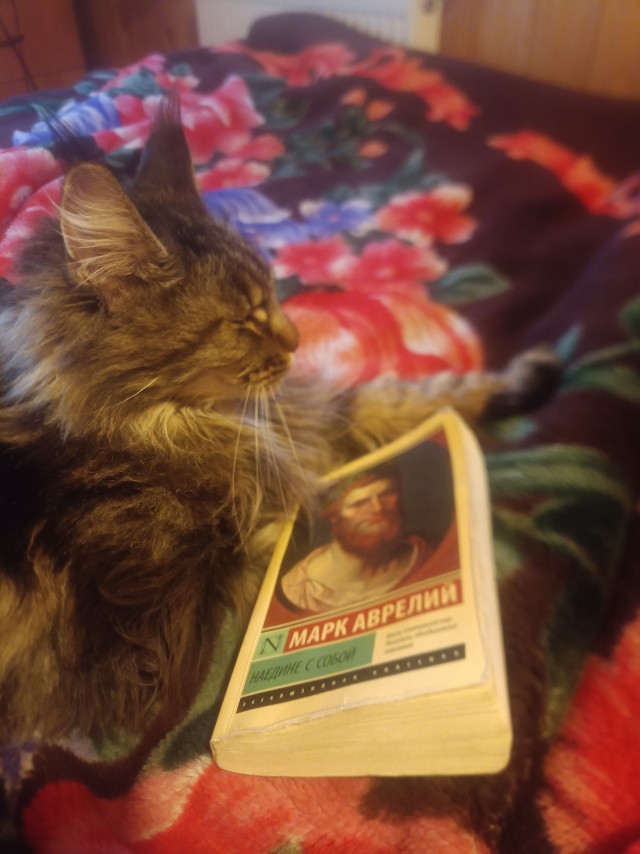 Настольные книги 2026.