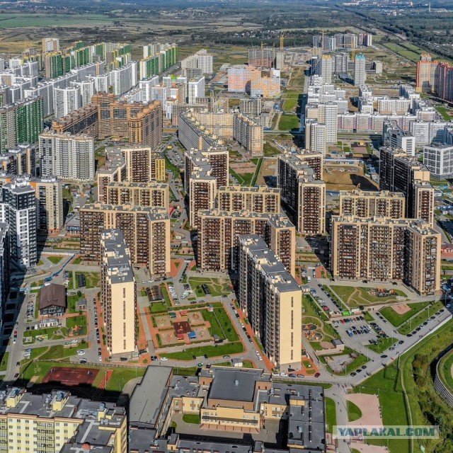 У зумеров появился новый сленг — теперь они общаются сущностями