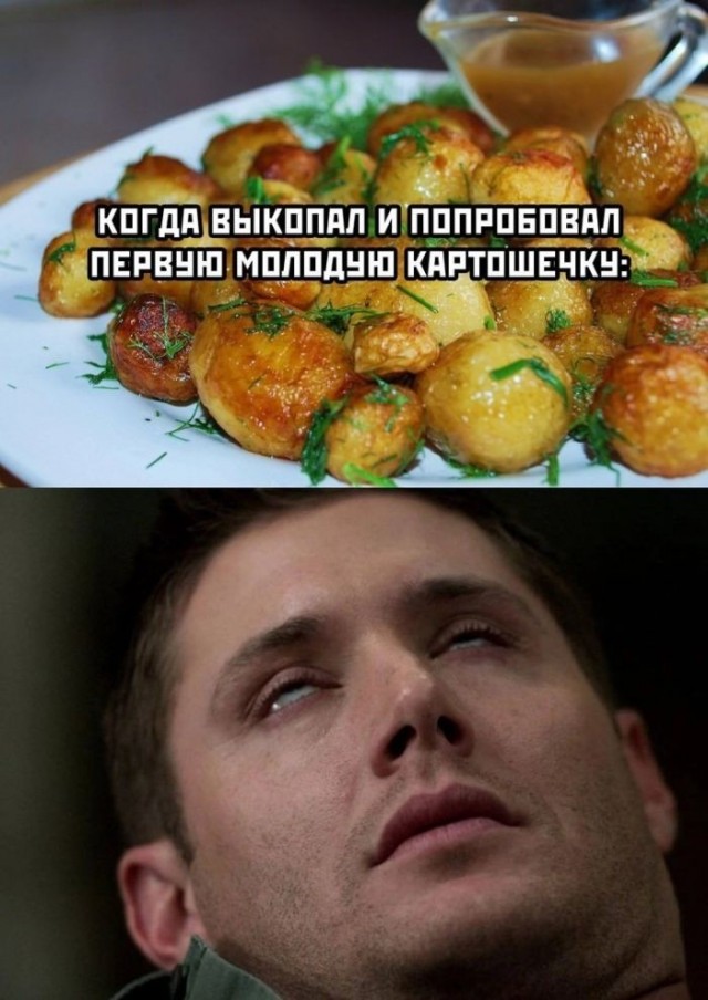 Картинки новые и старые, баяны и аккордеоны