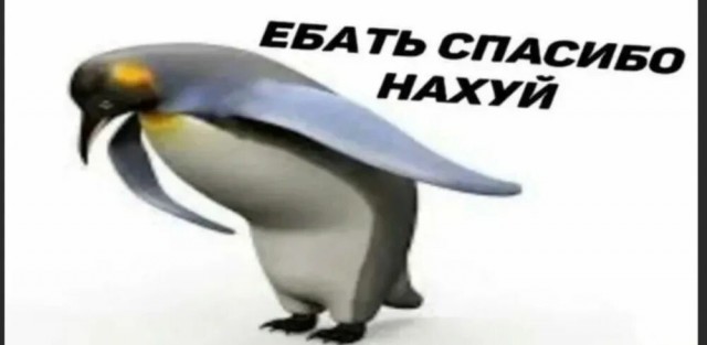 Россиянка угрожает отрезать уши волонтёрам, которые спасли её из тайского миграционного центра