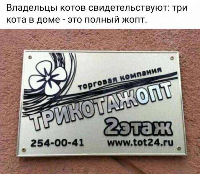 Прикольные и просто красивые картинки 25.09.2026