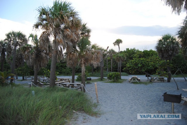 Каникулы во Флориде