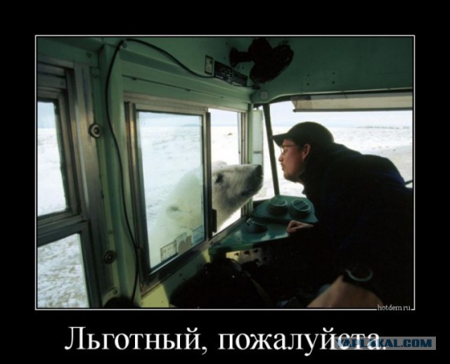 Демотиваторов пост, добавляйте свои