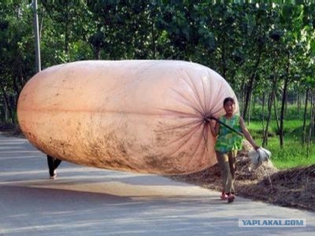 Как местные жители воруют нефть в Нигерии