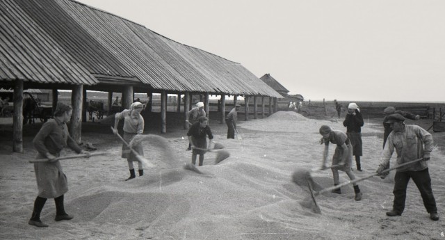 Наша история. Колхоз "Путь Ленина" 1946 год